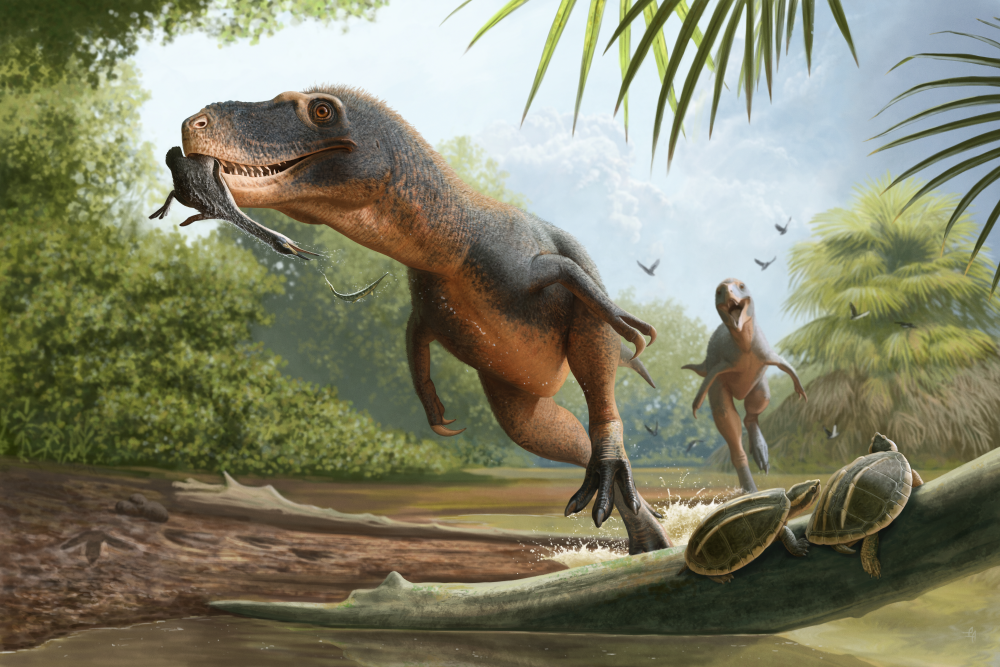 An illustration of a tyrannosaur preying on an ancient diving bird.